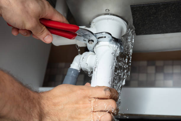 Best Water damage restoration cost  in Pine Lawn, MO