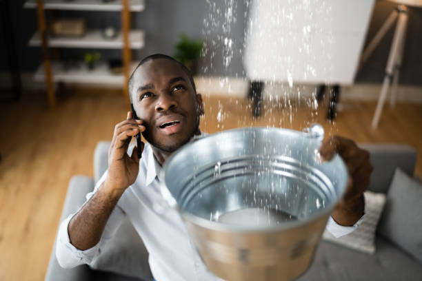 Best Ceiling water damage repair  in Pine Lawn, MO