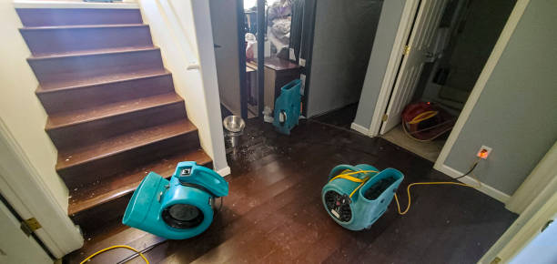 Best Residential water damage restoration  in Pine Lawn, MO