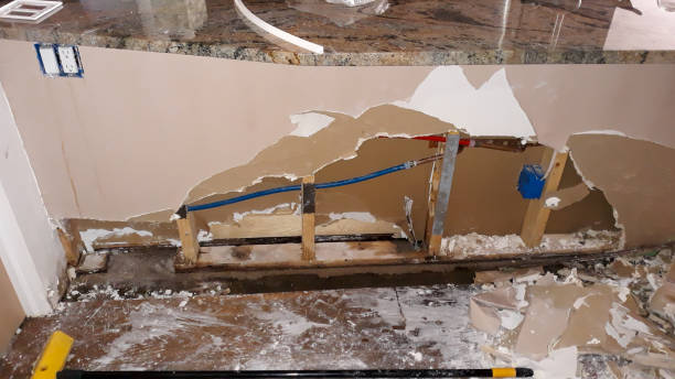 Best 24/7 water damage repair  in Pine Lawn, MO