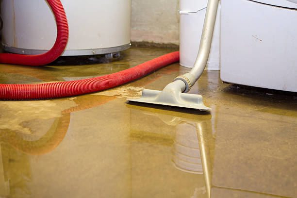 Best Water damage restoration mold remediation  in Pine Lawn, MO