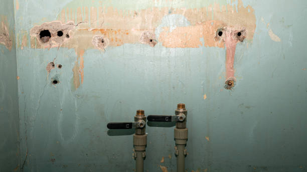 Best Carpet water damage restoration  in Pine Lawn, MO