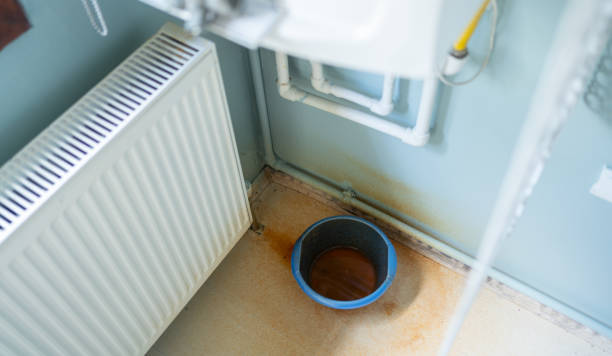 Best Commercial water damage restoration  in Pine Lawn, MO