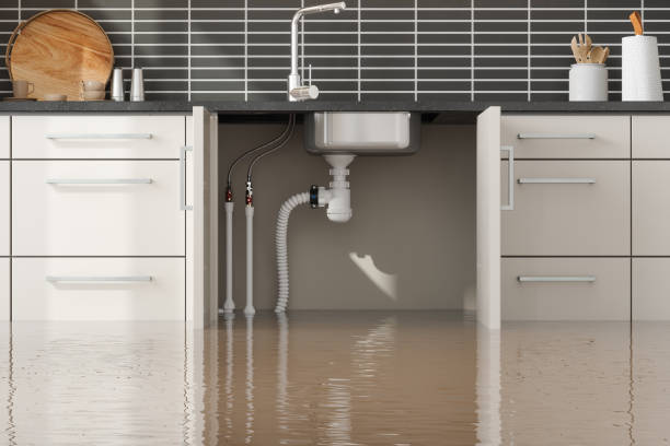 Best Water damage cleanup near me  in Pine Lawn, MO