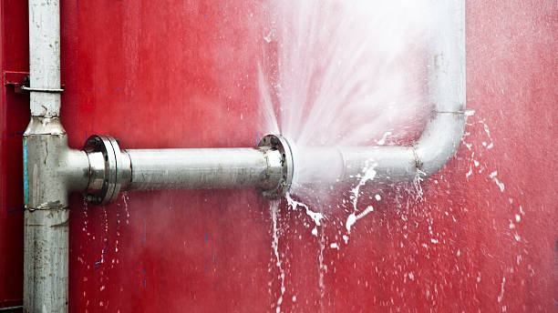 Best Sewage cleanup and water damage restoration  in Pine Lawn, MO