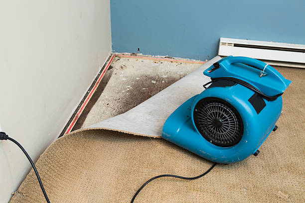 Best Flood damage cleanup  in Pine Lawn, MO